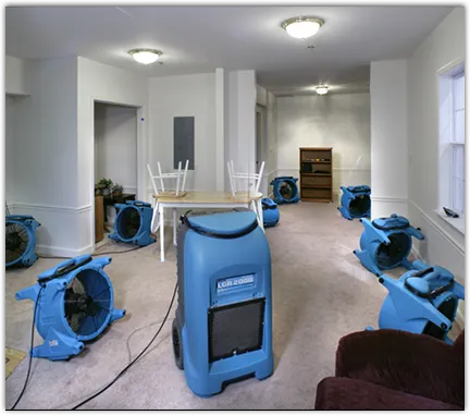 Water Mitigation Services in Richton Park, IL
