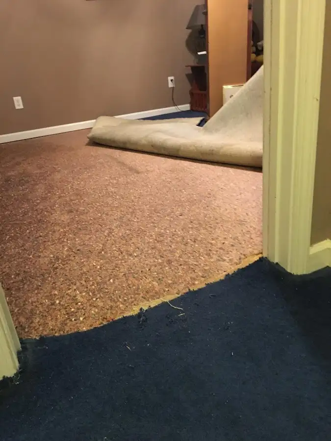 Carpet pad removal revealing water damage during Water Mitigation Services in Richton Park