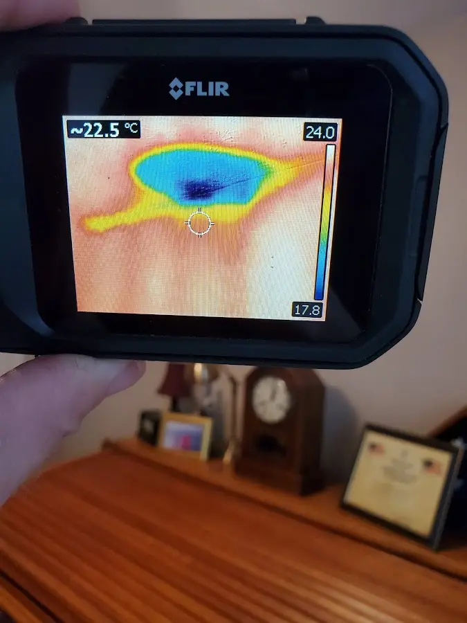 Thermal imaging inspection for water damage in Richton Park