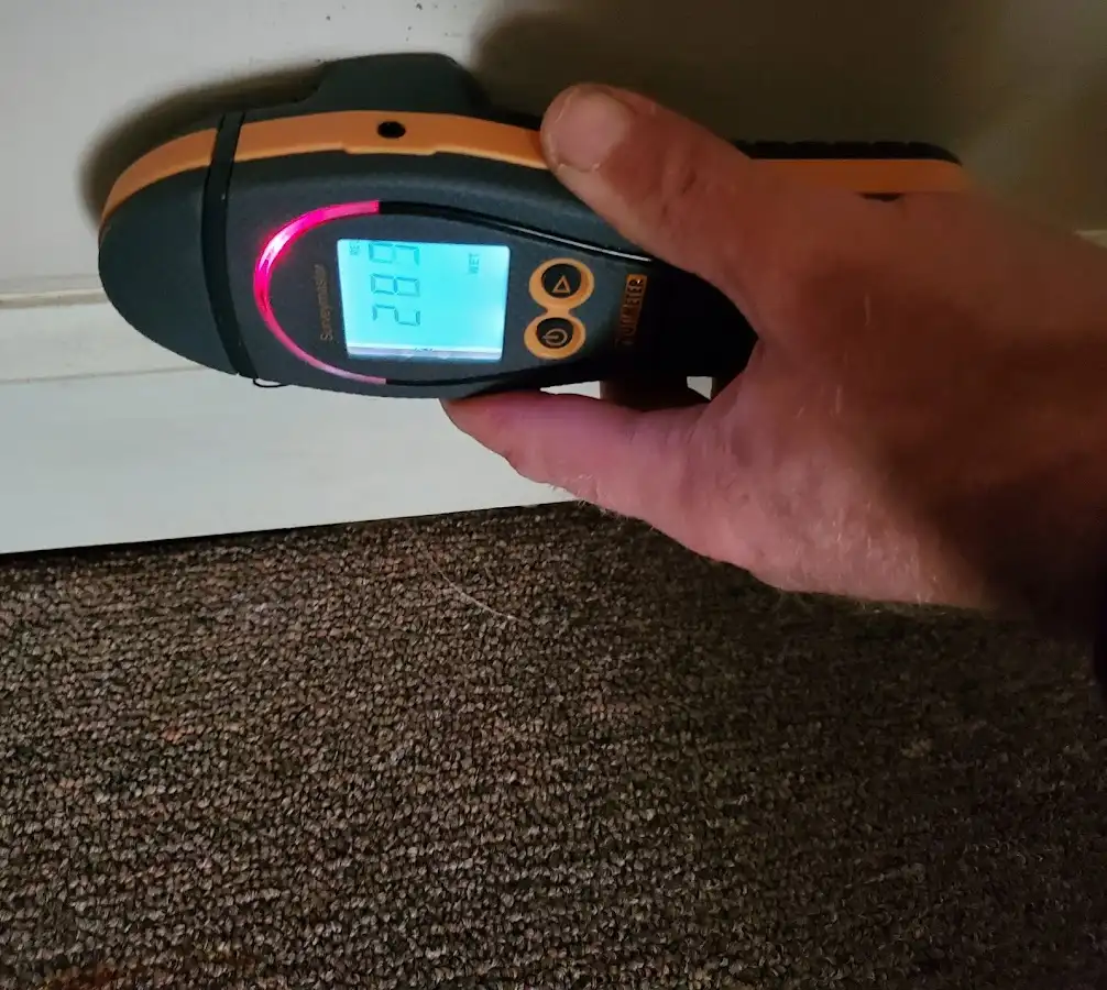 Moisture detection at baseboard during Sewage Cleanup & Sanitation in Richton Park